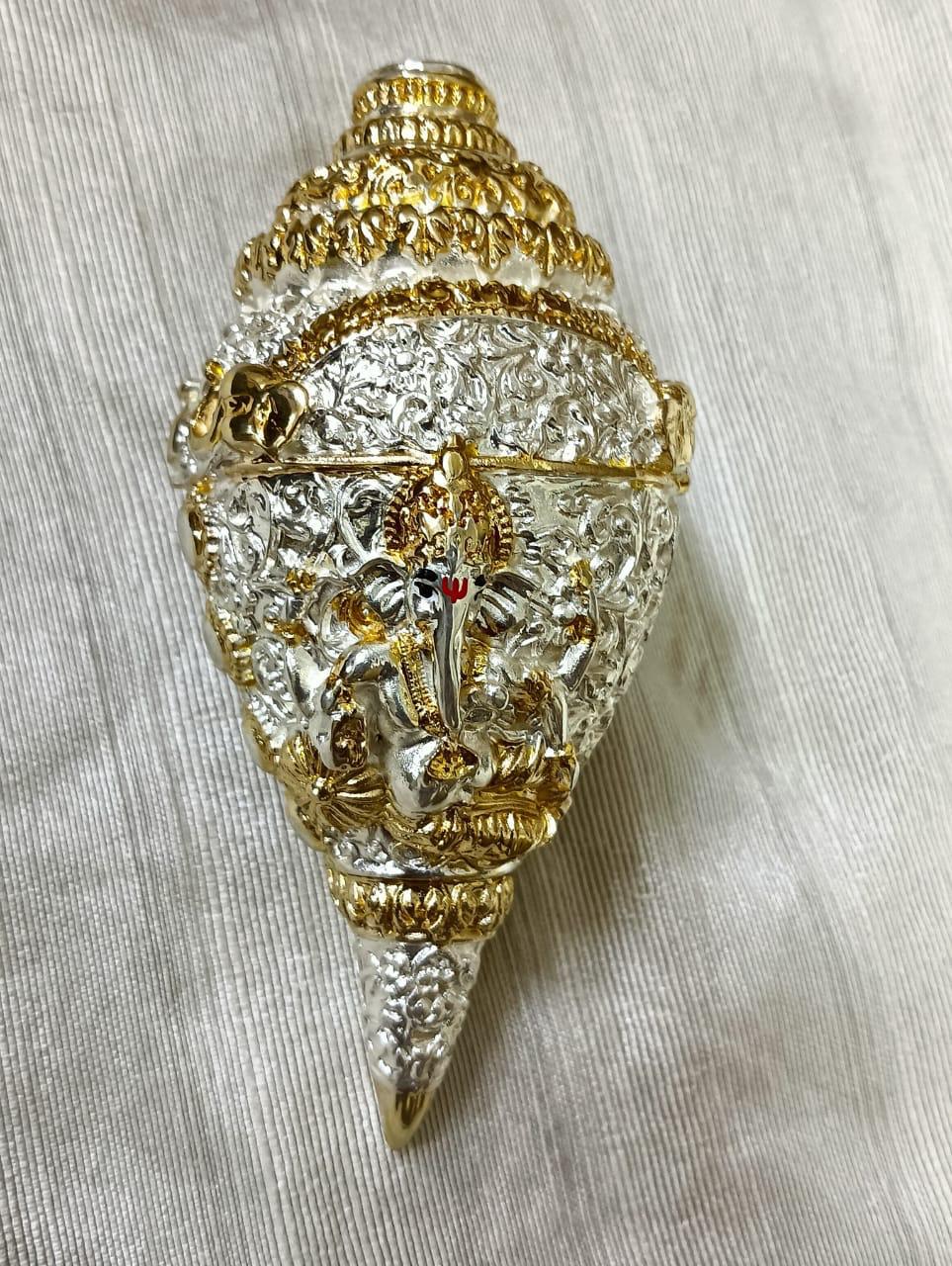 Conch-shell-decorative